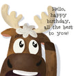 Moose All The Best To You Birthday Card Seo_Moose
