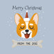 Merry Christmas Smiling Corgi Card
