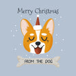 Merry Christmas Smiling Corgi Card Season_Christmas Seo_Corgi