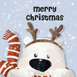 Cute Polar Bear Merry Christmas Card Season_Christmas