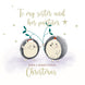 Merry Christmas Sister And Her Partner Cute Hedgehog Couple Card