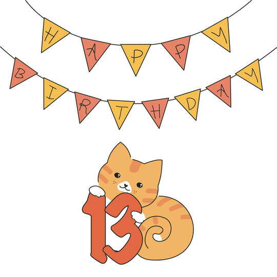 Birthday Cat 13 Card