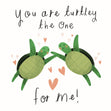 Turtle Love - 1
