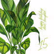 Happy 15th Birthday Daughter Lifelike Green Leaves