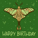 Butterfly On A Green Background Happy Birthday