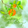 Oranges On A Branch Happy Birthday