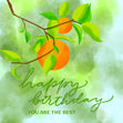 Oranges On A Branch Happy Birthday You're The Best