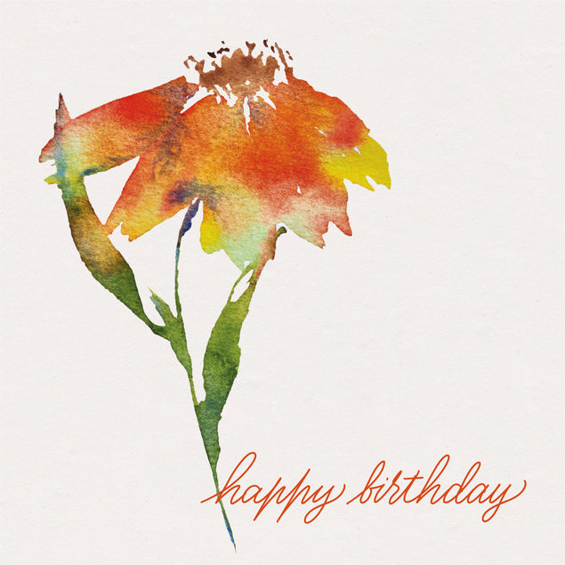 Beautiful Painted In Watercolor Flowers Happy Birthday