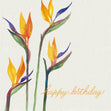 Beautiful Orange Painted In Watercolor Flower Happy Birthday