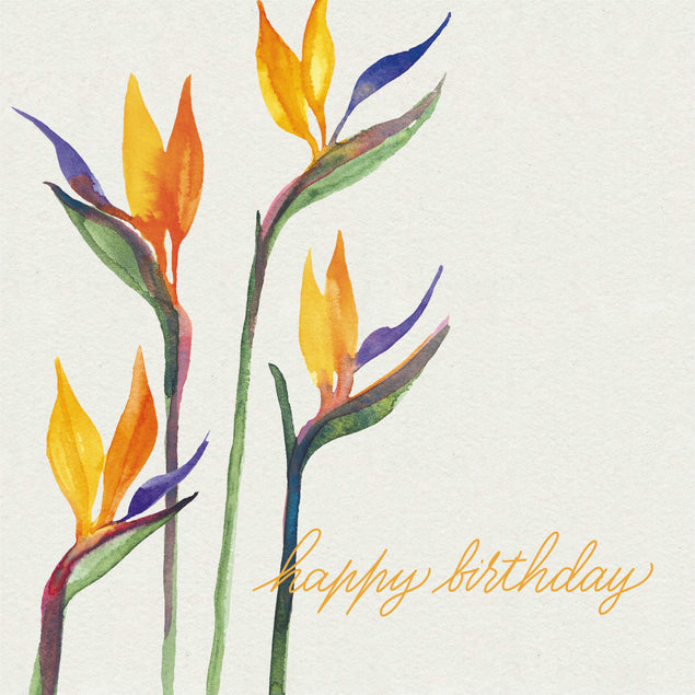 Beautiful Orange Painted In Watercolor Flower Happy Birthday