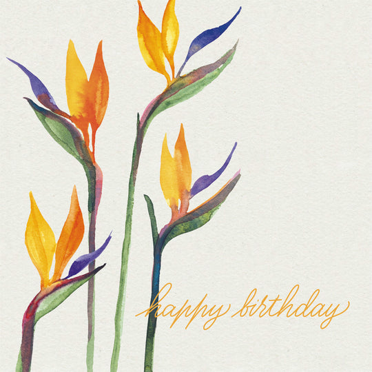 Beautiful Orange Painted In Watercolor Flower Happy Birthday