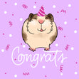Congrats Cute Smiling Guinea Pig