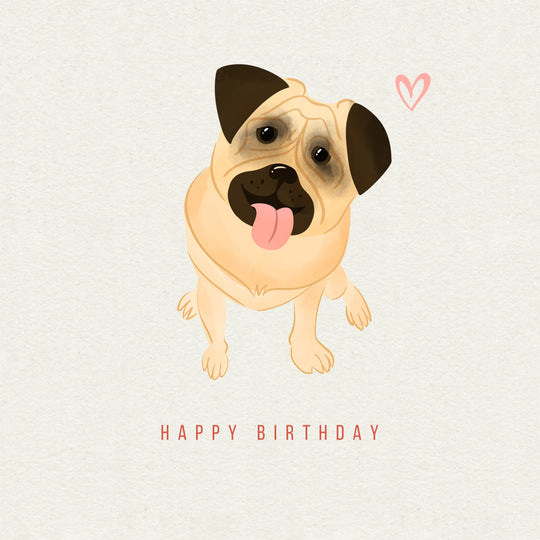 Cute Pug Happy Birthday