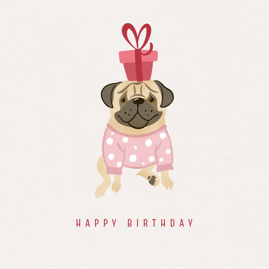 Pug With A Gift Happy Birthday