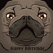 Funny Pug Happy Birthday