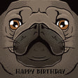 Funny Pug Happy Birthday