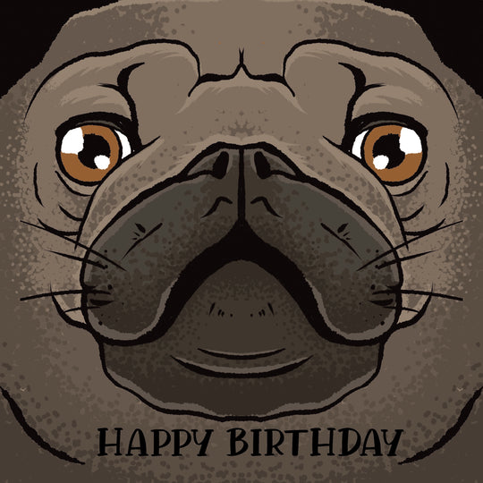 Funny Pug Happy Birthday