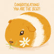Congratulations You Are The Best Cute Guinea Pig With A Flower