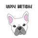 Cute White Frenchie Happy Birthday