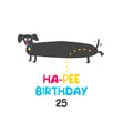 Happy 25th Birthday Ha-Pee Dachshund