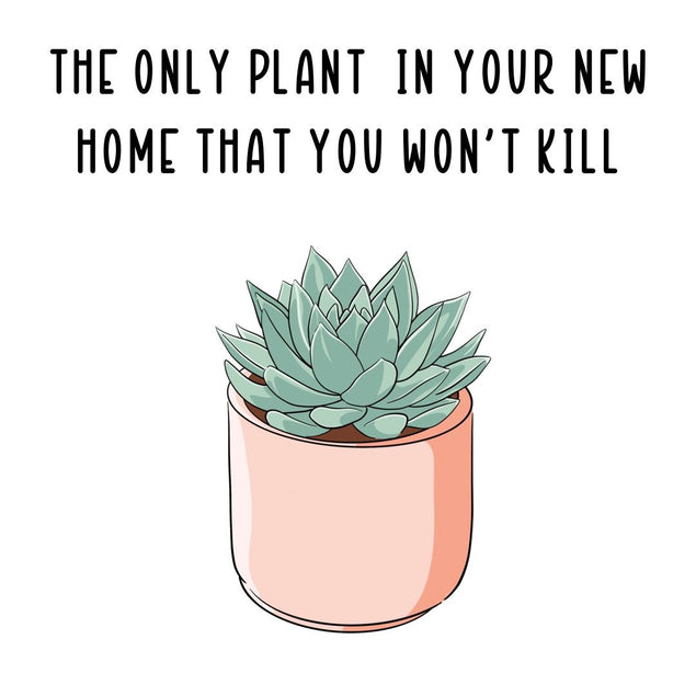 The Only Plant In Your New Home You Won't Kill Card