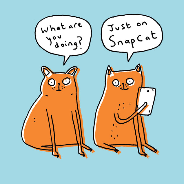 Just on Snapcat  Card