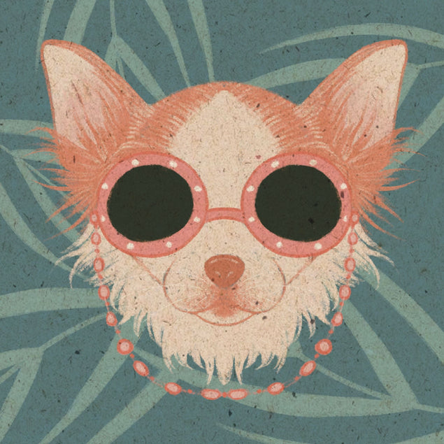 Cool Chihuahua Card