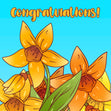 Yellow Cartoon Daffodil Congratulations