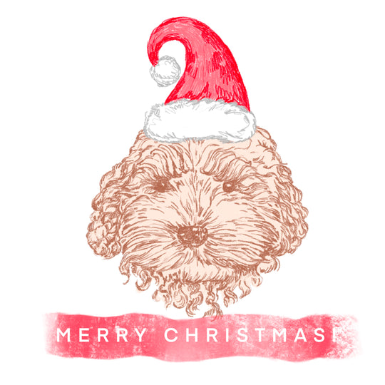 Merry Christmas And Happy New Year Cute Bichon Frise