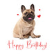 Red Hearts Frenchie Happy Birthday Card