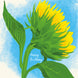 Sunflower Happy Birthday