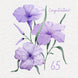 Soft Purple Flowers Happy 65th Birthday