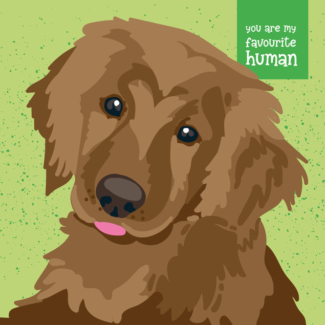 Brown Labrador On A Green Background You're My Favourite Human