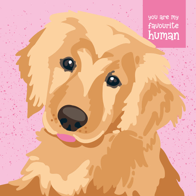 Golden Labrador On A Pink Background You're My Favourite Human