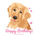 Happy Birthday Golden Retriever And Hearts