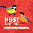 Merry Christmas To My Amazing Mummy And Daddy Bullfinches Season_Christmas Recipient_For Parents
