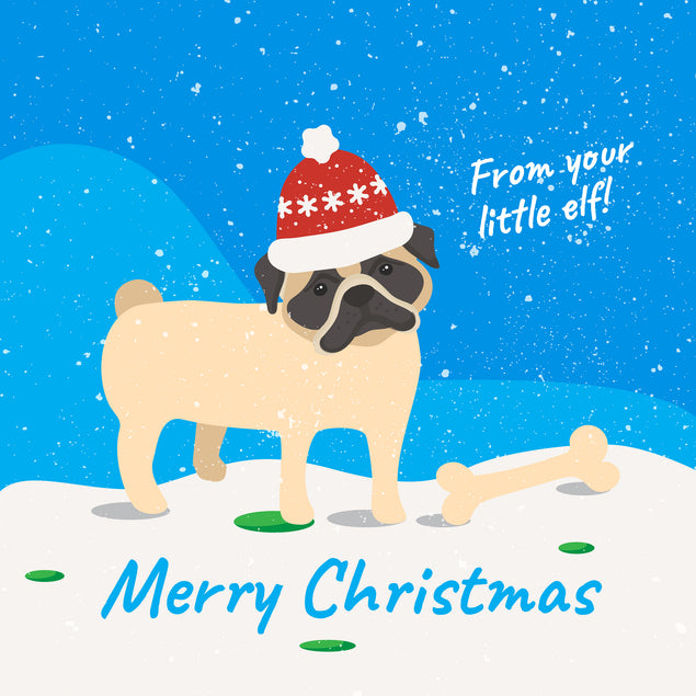 Merry Christmas From Your Little Elf Pug Card Season_Christmas Seo_Pug