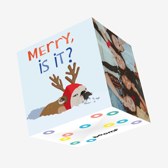Merry Is it Dressed Up Dog Christmas Confetti-exploding Greetings Card