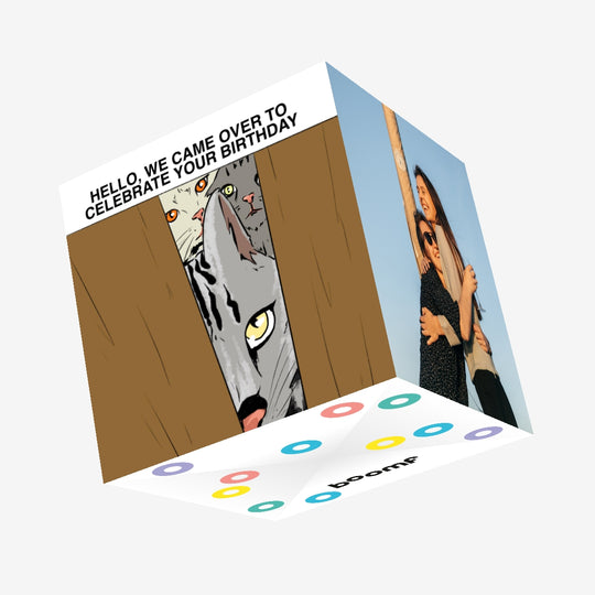 Hello We Came Over To Celebrate Your Birthday Cats Confetti-exploding Greetings Card