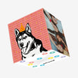 Happy Husky Dog Happy Birthday Confetti-exploding Greetings Card