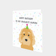 Happy Birthday To My Favourite Human Lagotto Romagnolo Card