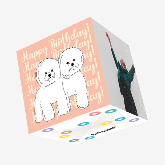 Pink Background Bichon Frise Happy Birthday Confetti-exploding Greetings Card