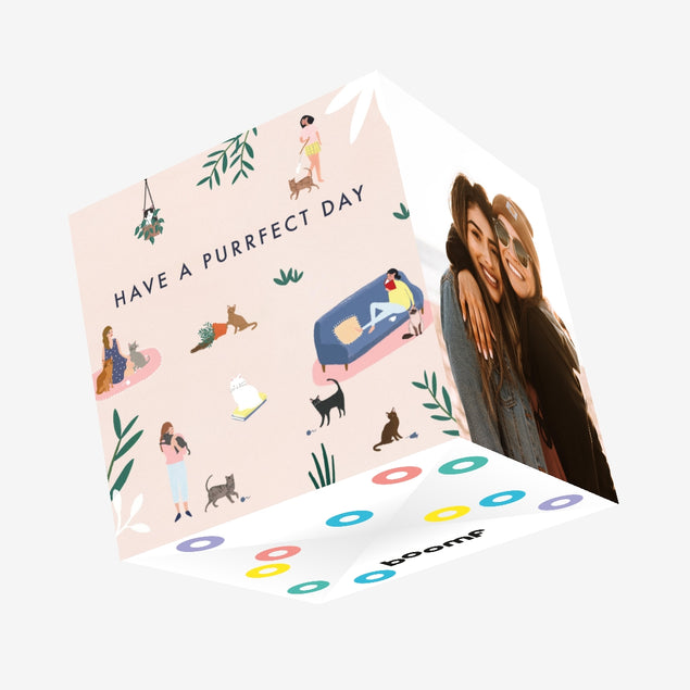 Cats Happy Birthday Confetti-exploding Greetings Card