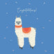 Cute Alpaca On The Blue Background Congratulations