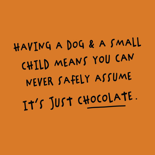 Never Assume It's Just Chocolate Card