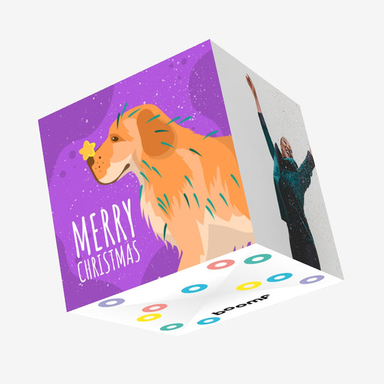 Merry Christmas Labrador And A Little Star Christmas Confetti-exploding Greetings Card