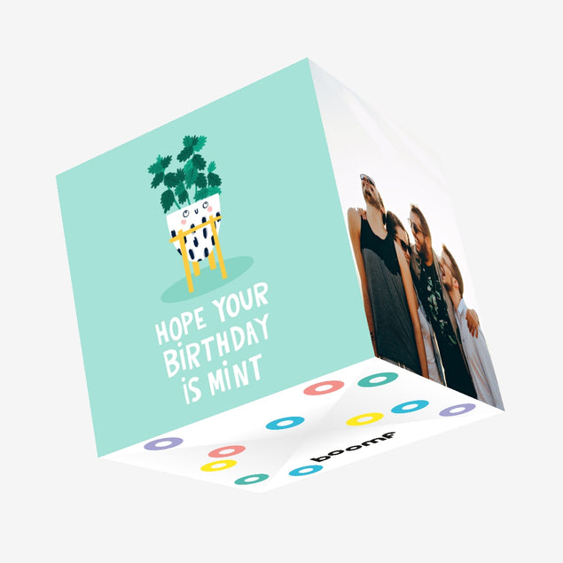 Cute Mint Plant Birthday Confetti-exploding Greetings Card
