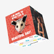 I'm Here To Wish You A Beautiful Day Possum Valentine's Day Confetti-exploding Greetings Card