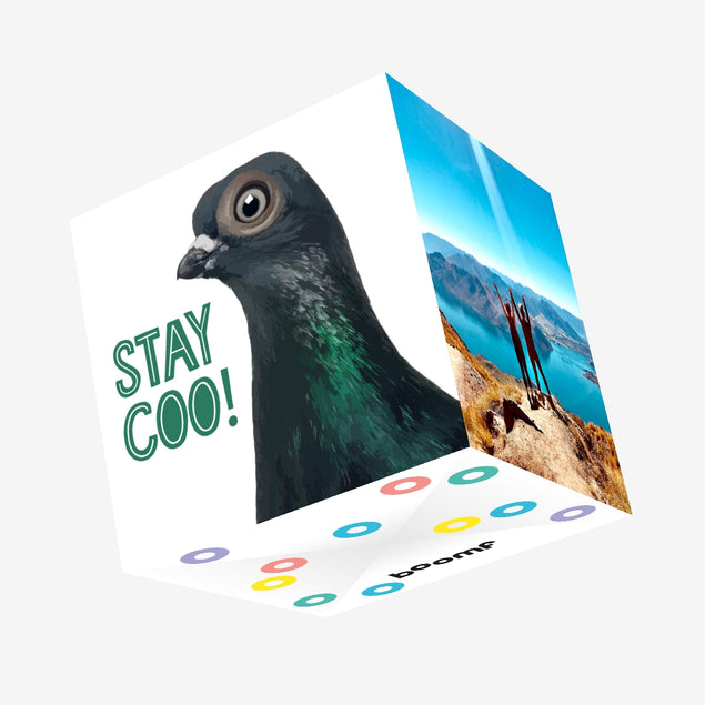 Pigeon Stay Coo Confetti-exploding Greetings Card