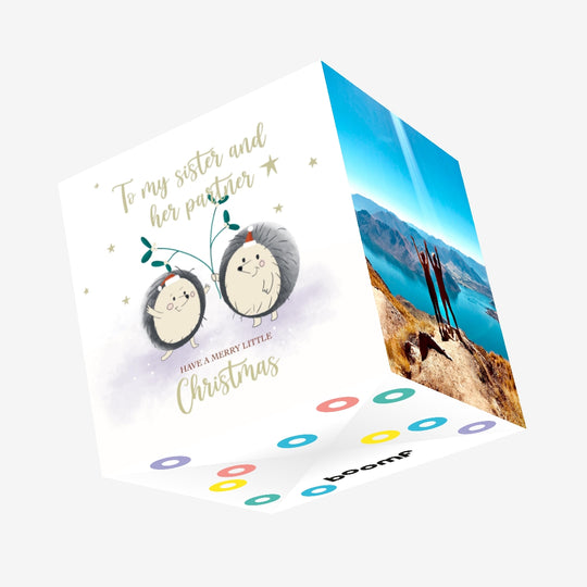 Merry Christmas Sister And Her Partner Cute Hedgehog Couple Confetti-exploding Greetings Card